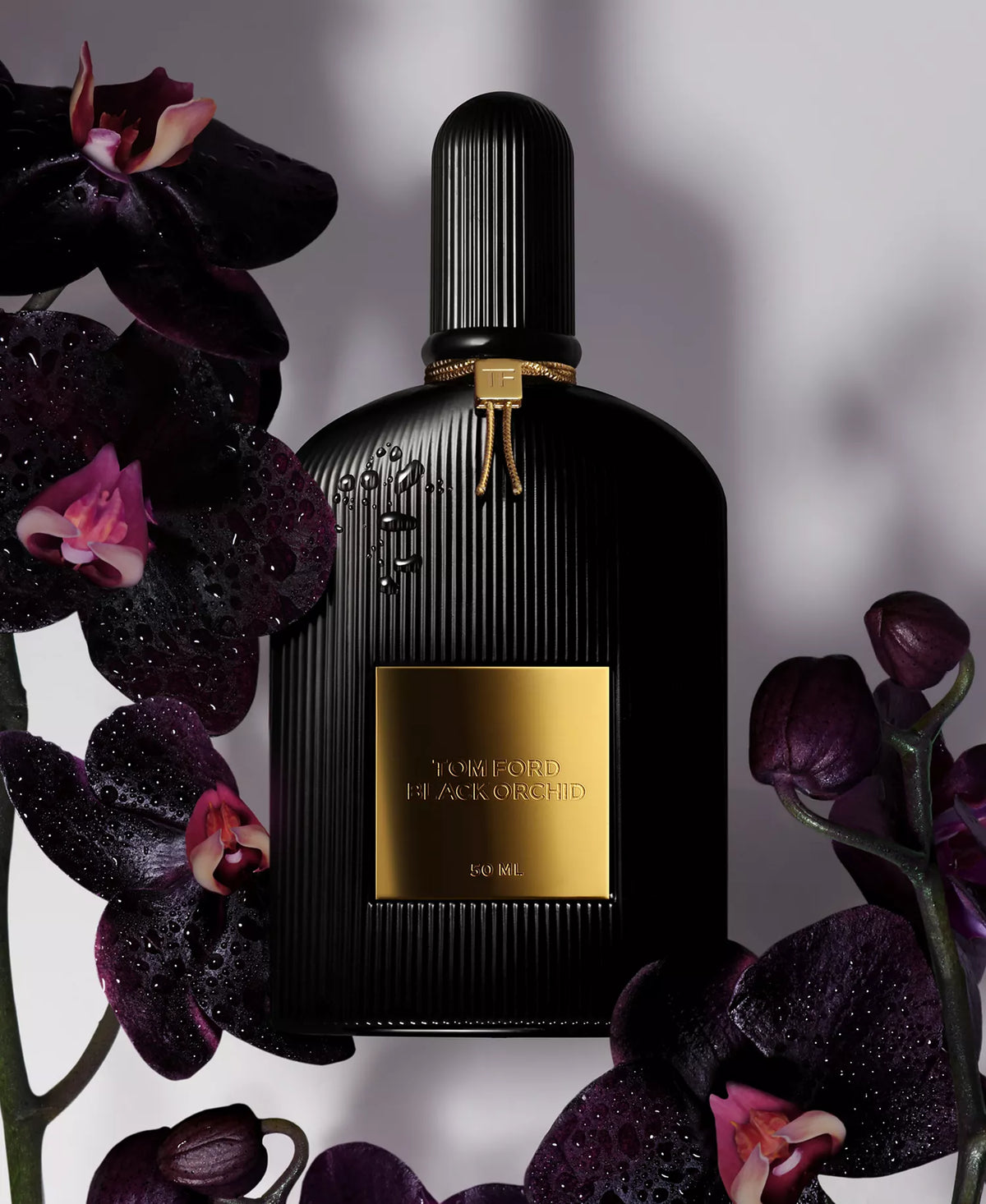Black Orchid (Tom Ford) · 100ml, autre vue du produit.