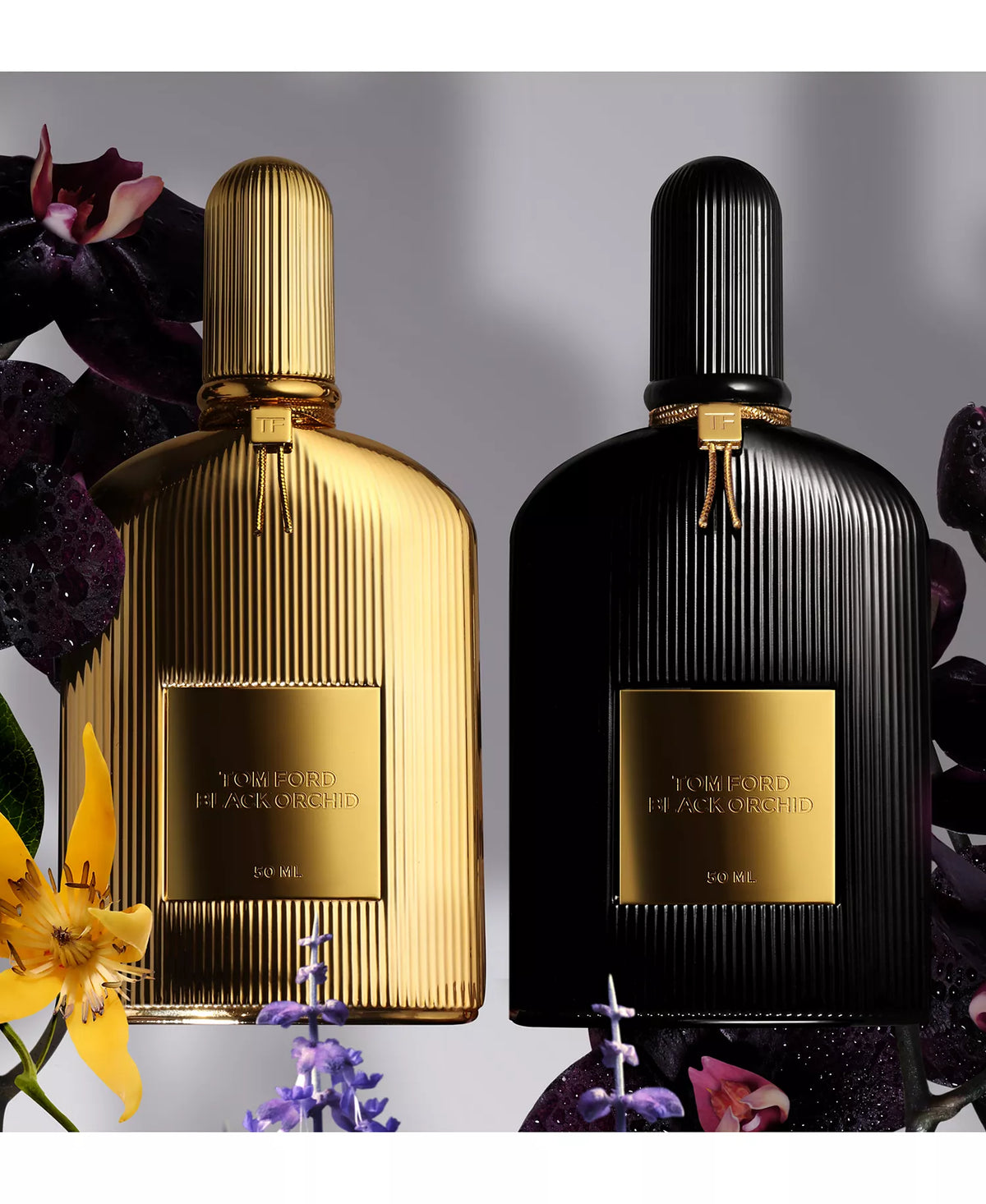 Black Orchid (Tom Ford) · 100ml, visuel supplémentaire de la fiche produit.