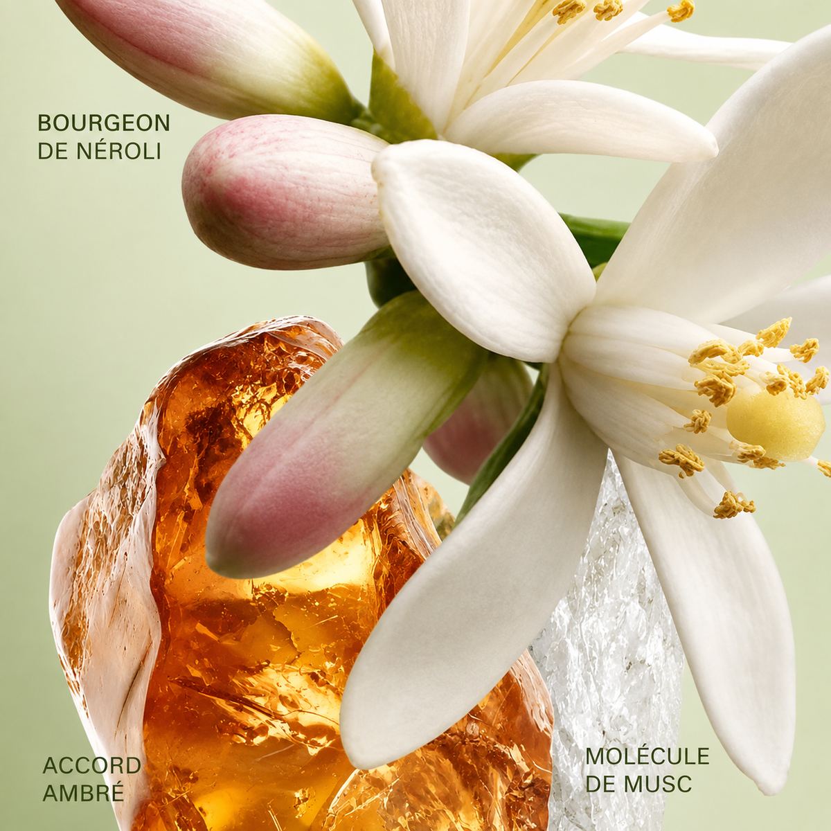 PRADA Paradoxe Eau de Parfum, mise en scène du flacon sur fond sombre.