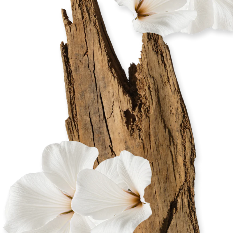 VALAYA Eau de Parfum · 75ml, vue complémentaire.