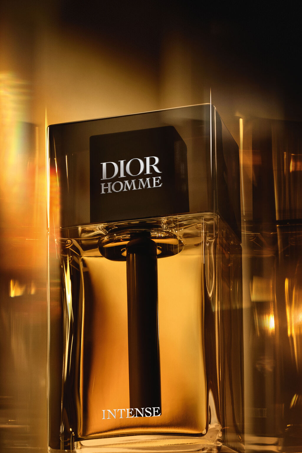 Flacon Dior Homme Intense, eau de parfum 100 ml, vue de face.