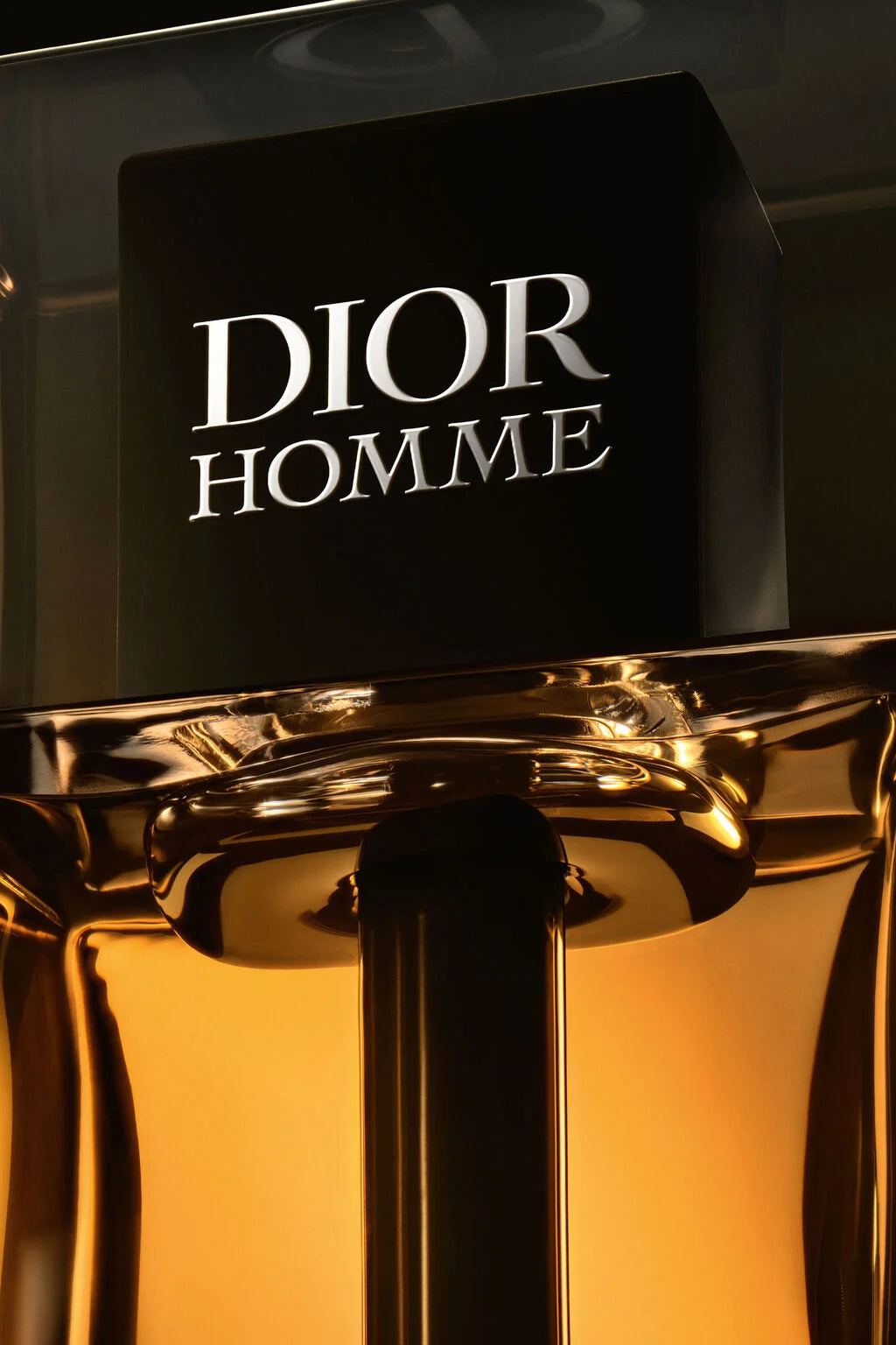 DIOR HOMME INTENSE Eau de Parfum Intense, autre vue du produit.