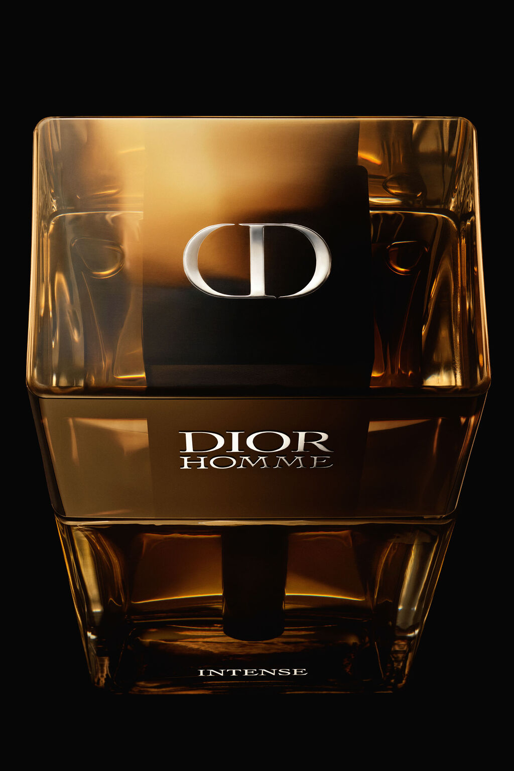 DIOR HOMME INTENSE Eau de Parfum Intense, vue complémentaire.